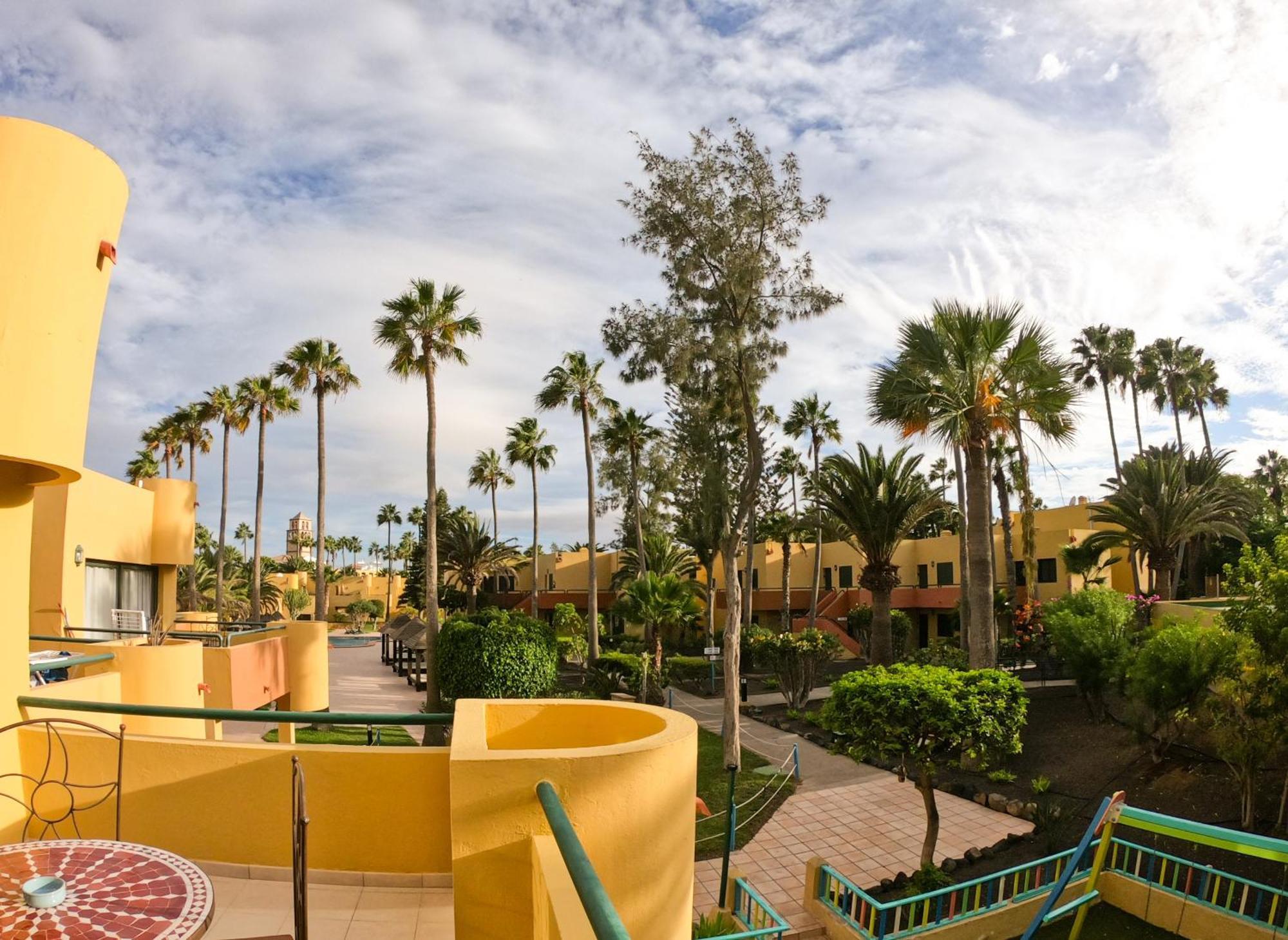 Drago 1 Atlantic Garden Apartment Corralejo Eksteriør bilde